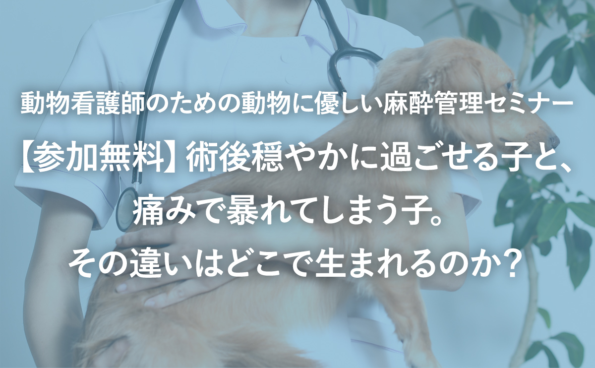 動物看護師のための動物に優しい麻酔管理セミナー【参加無料】術後穏やかに過ごせる子と、痛みで暴れてしまう子。その違いはどこで生まれるのか？