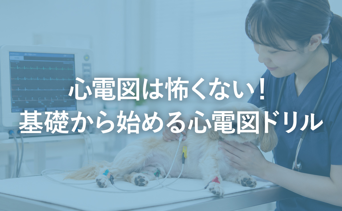 心電図は怖くない！基礎から始める心電図ドリル