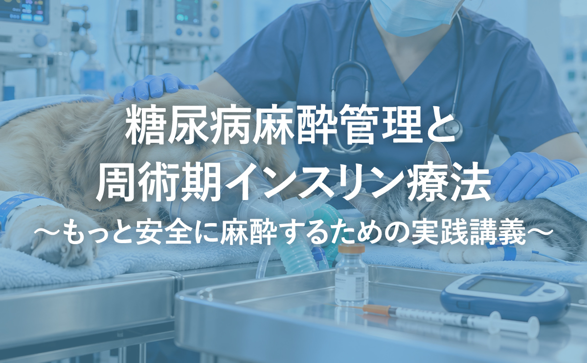 糖尿病麻酔管理と周術期インスリン療法~もっと安全に麻酔するための実践講義~