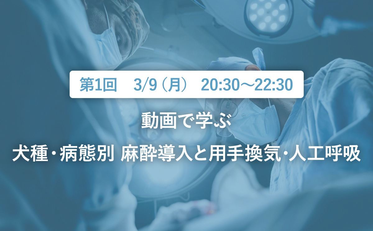 動画で学ぶ|犬種・病態別 麻酔導入と用手換気・人工呼吸