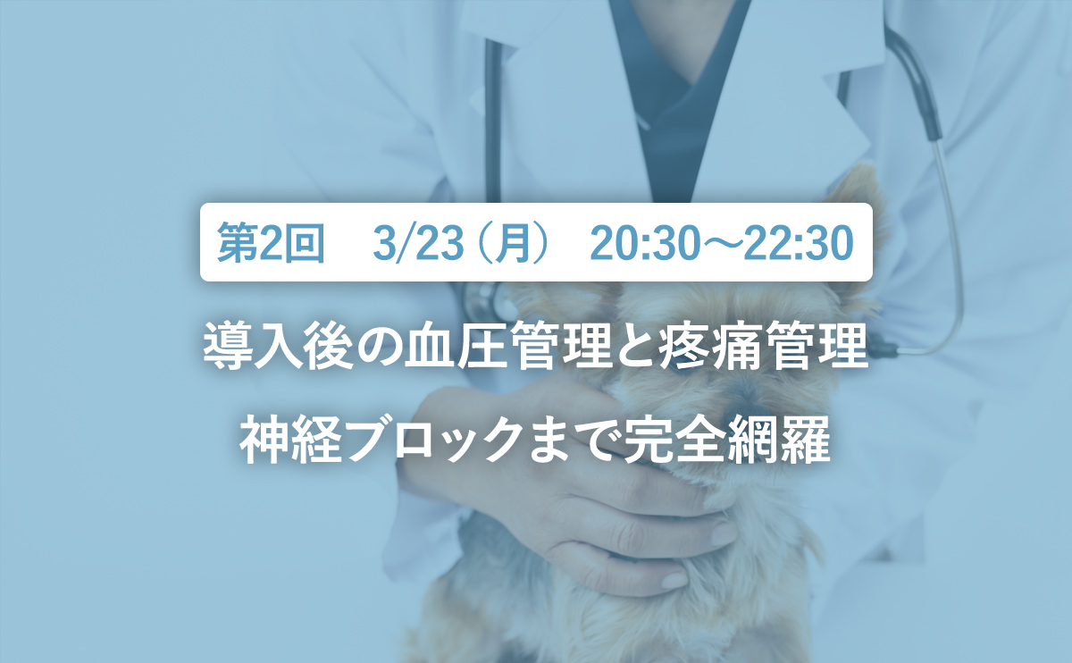 導入後の血圧管理と疼痛管理|神経ブロックまで完全網羅