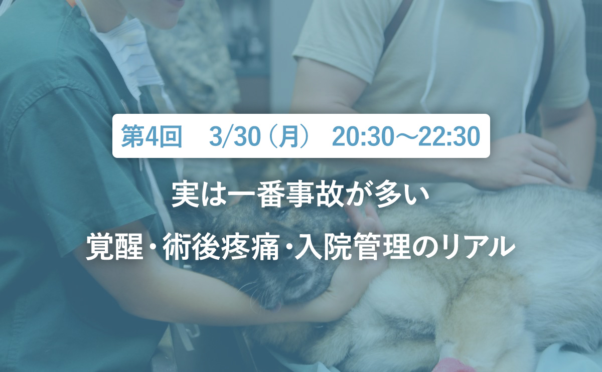 実は一番事故が多い|覚醒・術後疼痛・入院管理のリアル