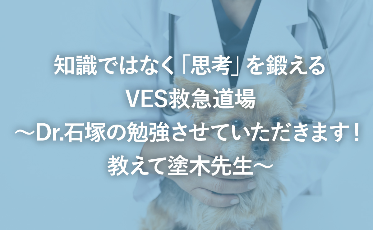 知識ではなく「思考」を鍛える VES救急道場〜Dr.石塚の勉強させていただきます!教えて塗木先生〜